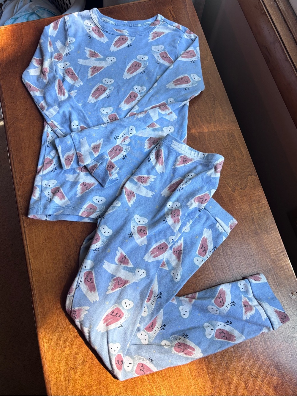 Tea Collection Light Blue Owl Pajama Set
